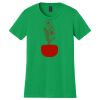 Women's Softstyle Tee Thumbnail